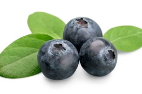 К чему снится голубика