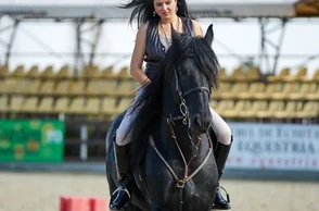 К чему снится верхом на лошади