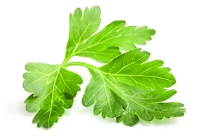 К чему снится петрушка