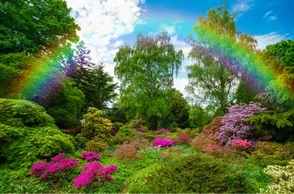 К чему снится родник