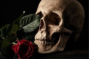 К чему снится череп человека