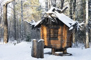 К чему снится баба яга