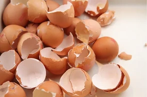 К чему снится скорлупа от яиц
