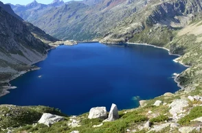 К чему снится озеро