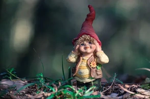 К чему снится гном