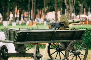 К чему снится партизан