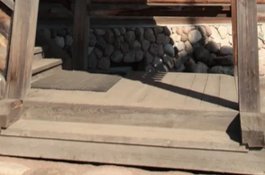 К чему снится паперть